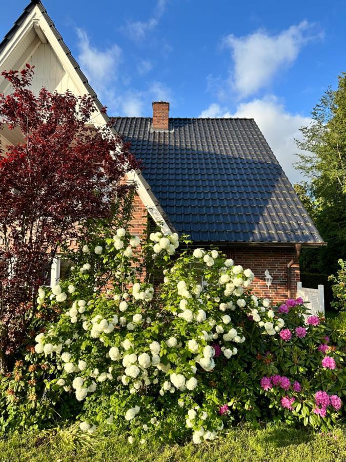 Louf Leilighet Wiesmoor Eksteriør bilde